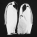 Футболка женская Like a Penguin, черная Футболка женская Like a Penguin, черная