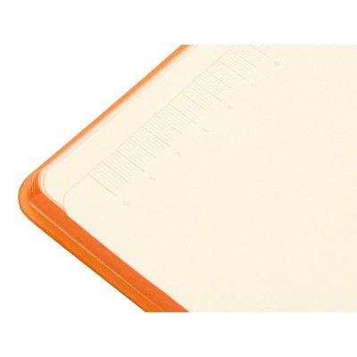 Блокнот А5 «Notepeno»